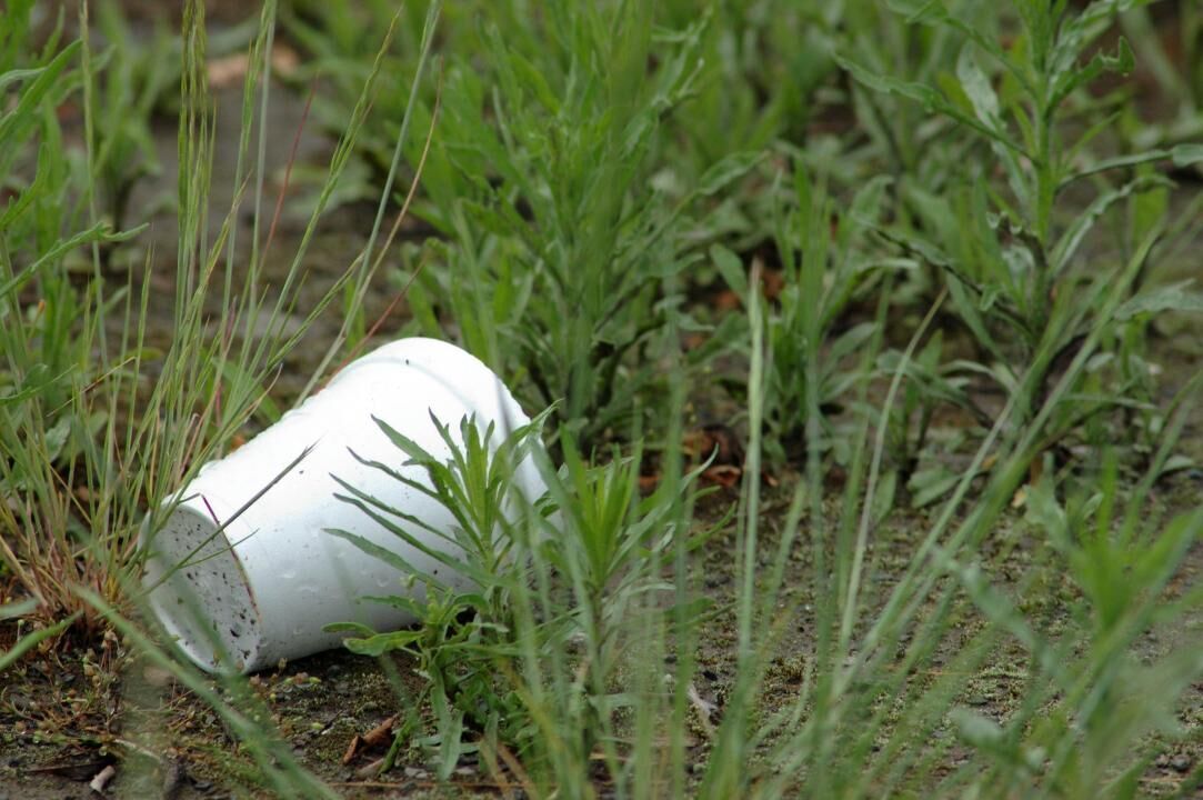 Foamed plastic cups: 50 years